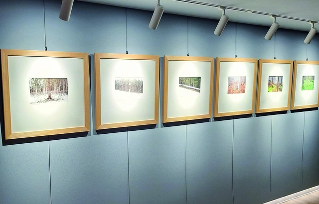 Arte, illuminazione e altre contaminazioni.